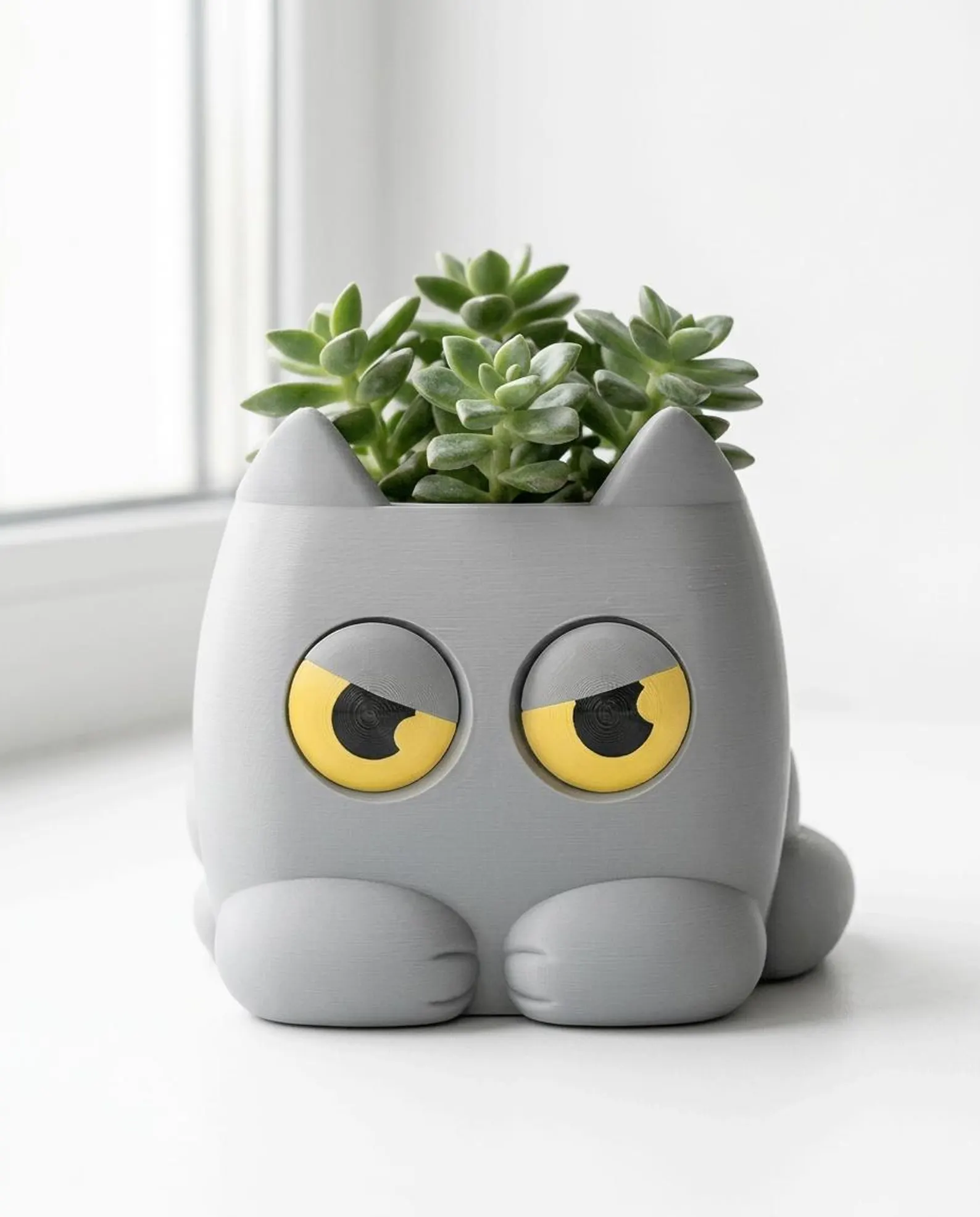 Vaso Grumpy Kitty — suculenta